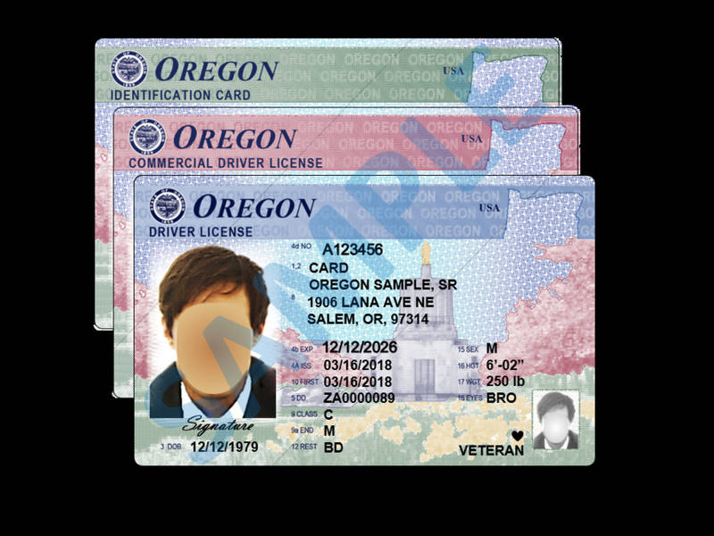 oregon drivers license number generator